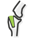 Orthopaedic Surgery